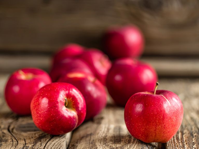 Piante da frutta Ogliastra